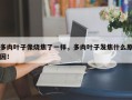 多肉叶子像烧焦了一样，多肉叶子发焦什么原因！