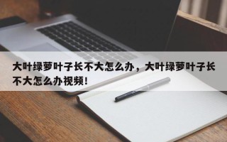 大叶绿萝叶子长不大怎么办，大叶绿萝叶子长不大怎么办视频！