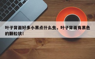 叶子背面好多小黑点什么虫，叶子背面有黑色的颗粒状！