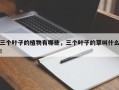 三个叶子的植物有哪些，三个叶子的草叫什么！