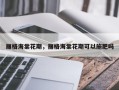 丽格海棠花期，丽格海棠花期可以施肥吗