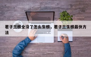 君子兰根全没了怎么生根，君子兰生根最快方法