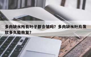 多肉缺水所有叶子都会皱吗？多肉缺水叶片发软多久能恢复？