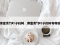 像富贵竹叶子的树，像富贵竹叶子的树有哪些