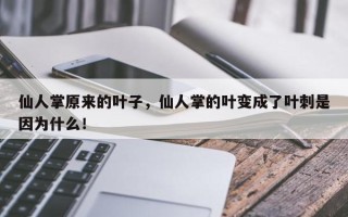 仙人掌原来的叶子，仙人掌的叶变成了叶刺是因为什么！