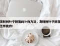 发财树叶子脱落的补救方法，发财树叶子脱落怎样挽救！