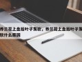 养兰花上盘后叶子发软，养兰花上盘后叶子发软什么原因