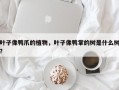 叶子像鸭爪的植物，叶子像鸭掌的树是什么树？