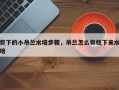 剪下的小吊兰水培步骤，吊兰怎么剪枝下来水培