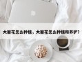 大丽花怎么种植，大丽花怎么种植和养护？