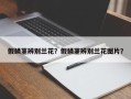 假鳞茎辨别兰花？假鳞茎辨别兰花图片？