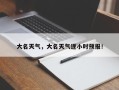 大名天气，大名天气逐小时预报！