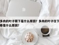 多肉的叶子朝下是什么原因？多肉的叶子往下卷是什么原因？