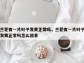 兰花有一片叶子发黄正常吗，兰花有一片叶子发黄正常吗怎么回事