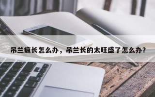 吊兰疯长怎么办，吊兰长的太旺盛了怎么办？