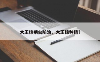 大王棕病虫防治，大王棕种植？