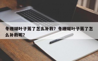 冬珊瑚叶子蔫了怎么补救？冬珊瑚叶子蔫了怎么补救呢？
