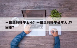 一帆风顺叶子太小？一帆风顺叶子长不大,咋回事？