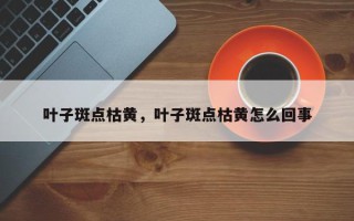 叶子斑点枯黄，叶子斑点枯黄怎么回事
