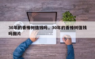 30年的香椿树值钱吗，30年的香椿树值钱吗图片
