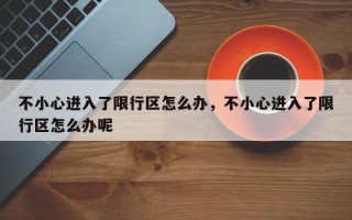 不小心进入了限行区怎么办，不小心进入了限行区怎么办呢