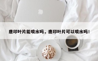 唐印叶片能喷水吗，唐印叶片可以喷水吗！