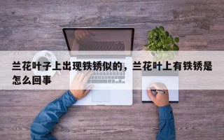 兰花叶子上出现铁锈似的，兰花叶上有铁锈是怎么回事