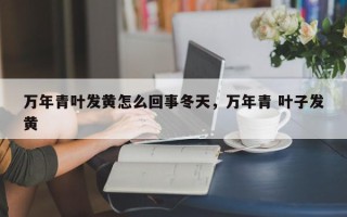 万年青叶发黄怎么回事冬天，万年青 叶子发黄