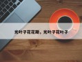光叶子花花期，光叶子花叶子