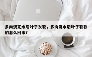多肉浇完水后叶子发软，多肉浇水后叶子软软的怎么回事?