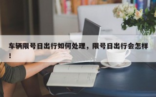 车辆限号日出行如何处理，限号日出行会怎样！