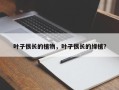 叶子很长的植物，叶子很长的绿植？