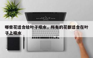 哪些花适合给叶子喷水，所有的花都适合在叶子上喷水