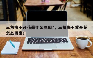 三角梅不开花是什么原因?，三角梅不爱开花怎么回事！