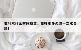 变叶木什么时候换盆，变叶木多久浇一次水合适！