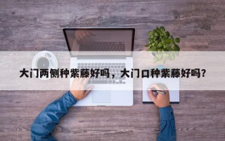 大门两侧种紫藤好吗，大门口种紫藤好吗？