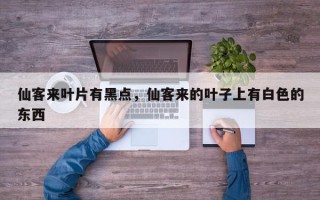 仙客来叶片有黑点，仙客来的叶子上有白色的东西