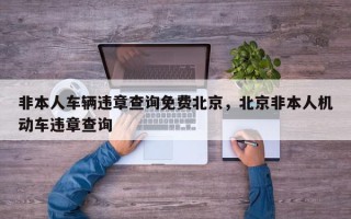 非本人车辆违章查询免费北京，北京非本人机动车违章查询