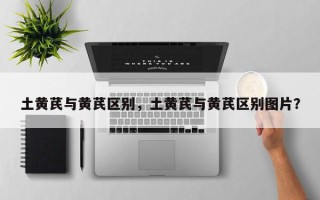 土黄芪与黄芪区别，土黄芪与黄芪区别图片？
