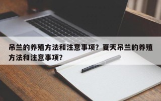 吊兰的养殖方法和注意事项？夏天吊兰的养殖方法和注意事项？