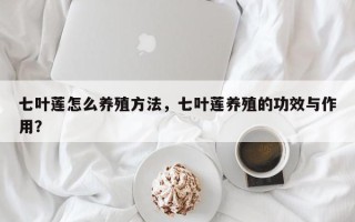 七叶莲怎么养殖方法，七叶莲养殖的功效与作用？