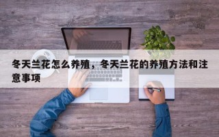冬天兰花怎么养殖，冬天兰花的养殖方法和注意事项