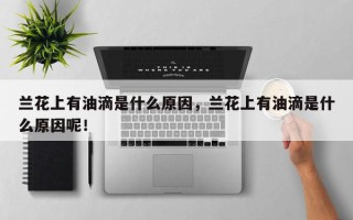 兰花上有油滴是什么原因，兰花上有油滴是什么原因呢！
