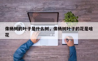 像杨树的叶子是什么树，像杨树叶子的花是啥花