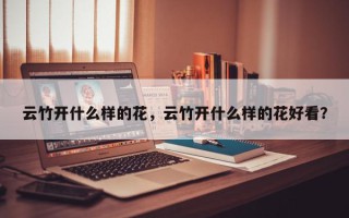 云竹开什么样的花，云竹开什么样的花好看？
