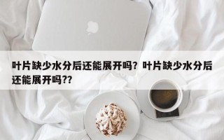 叶片缺少水分后还能展开吗？叶片缺少水分后还能展开吗?？