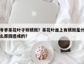冬季茶花叶子铁锈斑？茶花叶面上有锈斑是什么原因造成的？