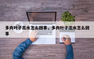 多肉叶子出水怎么回事，多肉叶子流水怎么回事