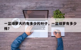 一盆绿萝大约有多少片叶子，一盆绿萝有多少株？