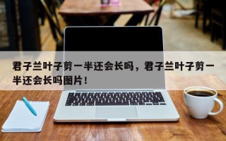君子兰叶子剪一半还会长吗，君子兰叶子剪一半还会长吗图片！